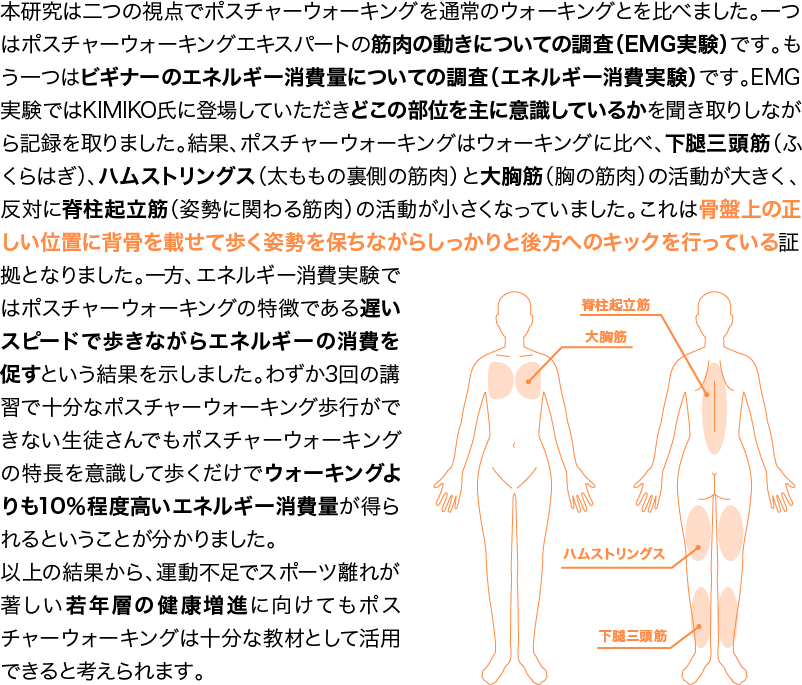 本研究は二つの視点でポスチャーウォーキングを通常のウォーキングとを比べました。一つはポスチャーウォーキングエキスパートの筋肉の動きについての調査（EMG実験）です。もう一つはビギナーのエネルギー消費量についての調査（エネルギー消費実験）です。EMG実験ではKIMIKO氏に登場していただきどこの部位を主に意識しているかを聞き取りしながら記録を取りました。結果、ポスチャーウォーキングはウォーキングに比べ、下腿三頭筋（ふくらはぎ）、ハムストリングス（太ももの裏側の筋肉）と大胸筋（胸の筋肉）の活動が大きく、反対に脊柱起立筋（姿勢に関わる筋肉）の活動が小さくなっていました。これは骨盤上の正しい位置に背骨を載せて歩く姿勢を保ちながらしっかりと後方へのキックを行っている証拠となりました。一方、エネルギー消費実験ではポスチャーウォーキングの特徴である遅いスピードで歩きながらエネルギーの消費を促すという結果を示しました。わずか3回の講習で十分なポスチャーウォーキング歩行ができない生徒さんでもポスチャーウォーキングの特長を意識して歩くだけでウォーキングよりも10％程度高いエネルギー消費量が得られるということが分かりました。以上の結果から、運動不足でスポーツ離れが著しい若年層の健康増進に向けてもポスチャーウォーキングは十分な教材として活用できると考えられます。